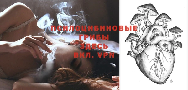 ешки Алексин