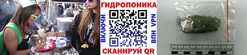 Каннабис SATIVA & INDICA  Приморск 